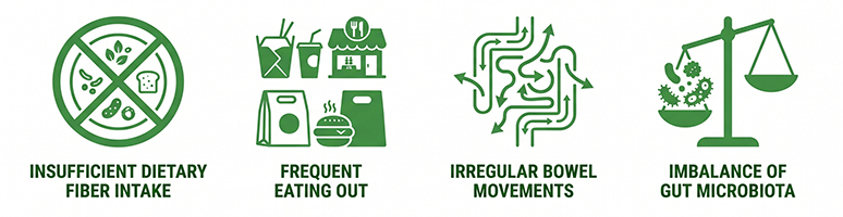 Gut Health Important for Modern Lifestyles